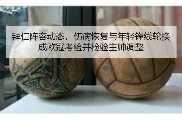 bai-ren-zhen-rong-dong-tai-shang-bing-hui-fu-yu-nian-qing-feng-xian-lun-huan-cheng-ou-guan-kao-yan-bing-jian-yan-zhu-3-999.jpg